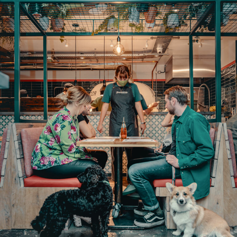 People dining with their dogs